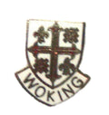 Woking Quality Enamel Lapel Pin Badge image 0