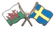 Wales & Sweden Flags Friendship Courtesy enamel Lapel Pin Badge T383 image 0