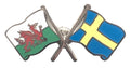 Wales & Sweden Flags Friendship Courtesy enamel Lapel Pin Badge T383 image 0