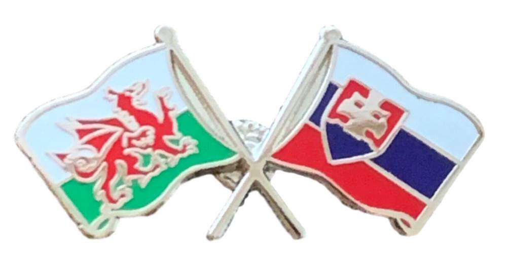 Wales & Slovakia Flags Friendship Courtesy  enamel  Lapel Pin Badge T910 image 2