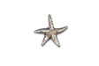 Detailed pewter Starfish pin badge featuring a textured five-armed sea star design with butterfly clutch fastening on a white background.