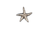 Detailed pewter Starfish pin badge featuring a textured five-armed sea star design with butterfly clutch fastening on a white background.