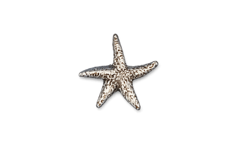 Detailed pewter Starfish pin badge featuring a textured five-armed sea star design with butterfly clutch fastening on a white background.