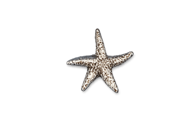 Detailed pewter Starfish pin badge featuring a textured five-armed sea star design with butterfly clutch fastening on a white background.
