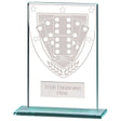 Premium clear glass domino award with frosted domino shield design and free personalised engraving