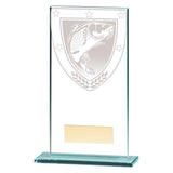 Clear glass fishing award with engraved fish design and free personalised engraving
