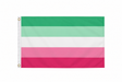 Abrosexual Pride Flag 5ft x 3ft in green white and pink with metal eyelets