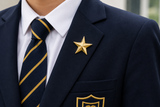 3D Gold Star School Badge | Metal Achievement Award Lapel Pin 12mm