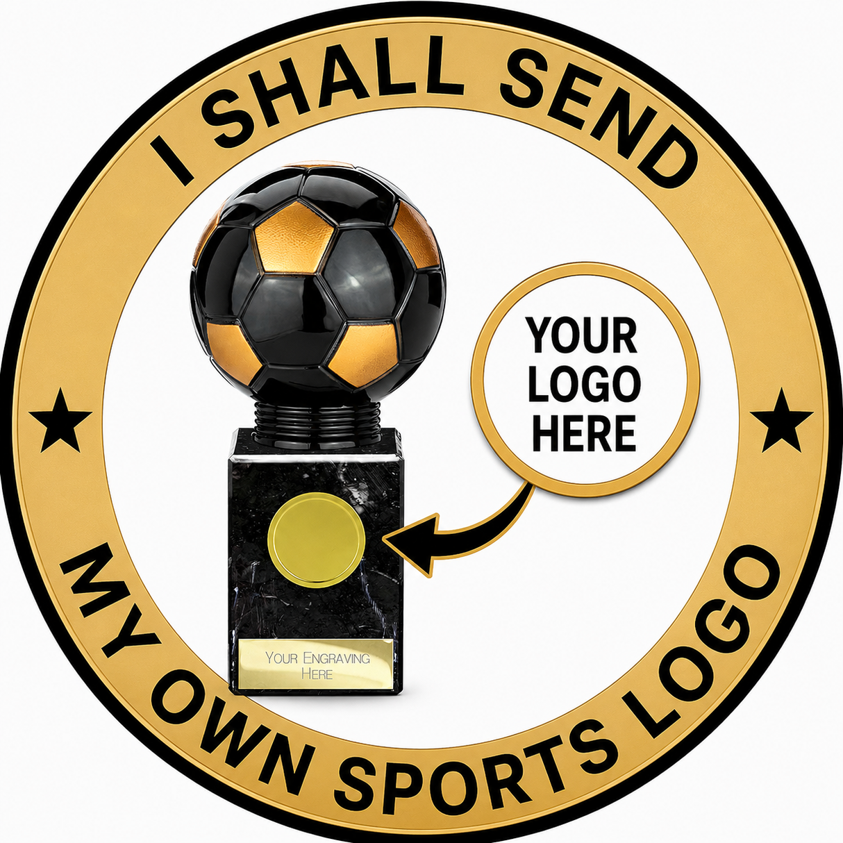 Falcon American Football Trophy with 25mm Centre – Silver & Gold Award 210mm