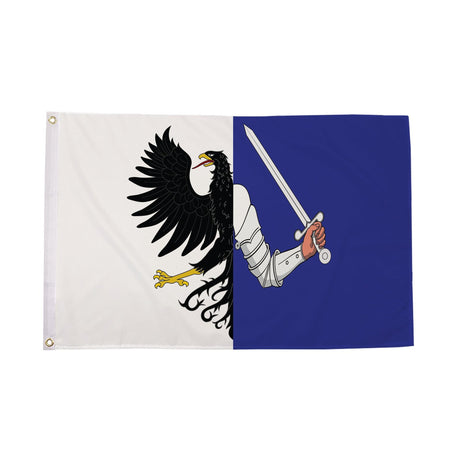 Flagmania Connacht (Connaught) 3ft x 2ft Polyester Flag on white background