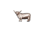 Handcrafted pewter Highland Cow pin badge featuring a detailed Scottish cattle design with butterfly clutch fastening on a white background.