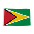 Flagmania Guyana 3ft x 2ft Polyester Flag on white background