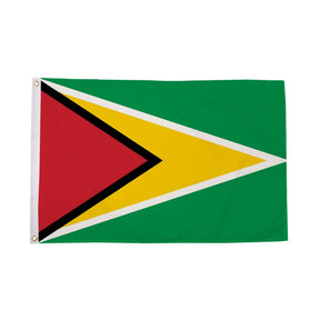 Flagmania Guyana 8ft x 5ft polyester flag