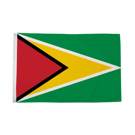 Flagmania Guyana 8ft x 5ft polyester flag