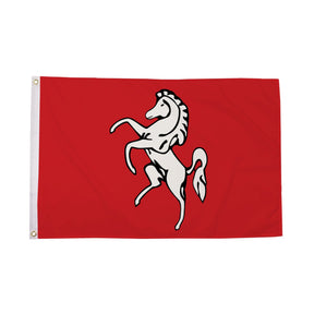Flagmania Kent 8ft x 5ft polyester flag