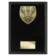 Personalised Cobra Darts Plaque Award 175mm – Black with Free Engraving
