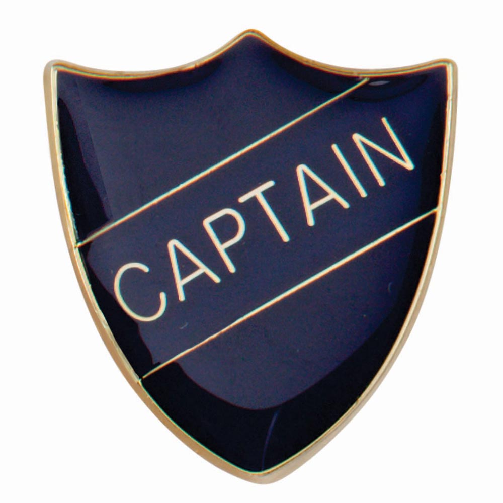Premium enamel school shield badge with butterfly clutch fastening for student leadership and recognition awards.