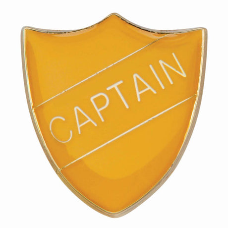 Premium enamel school shield badge with butterfly clutch fastening for student leadership and recognition awards.