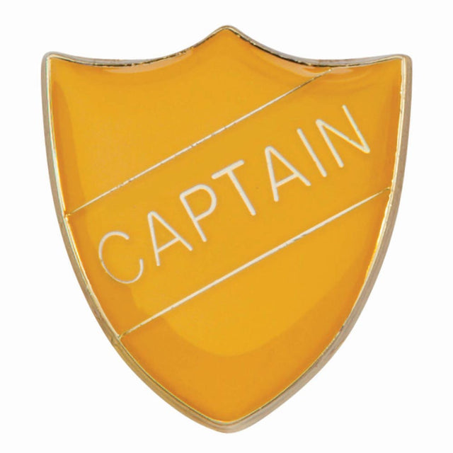 Premium enamel school shield badge with butterfly clutch fastening for student leadership and recognition awards.