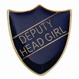 Premium enamel school shield badge with butterfly clutch fastening for student leadership and recognition awards.