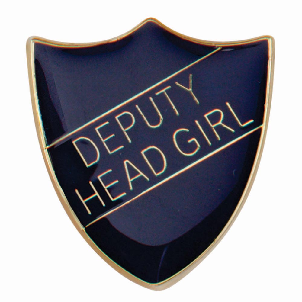 Premium enamel school shield badge with butterfly clutch fastening for student leadership and recognition awards.