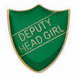 Premium enamel school shield badge with butterfly clutch fastening for student leadership and recognition awards.