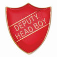 Premium enamel school shield badge with butterfly clutch fastening for student leadership and recognition awards.