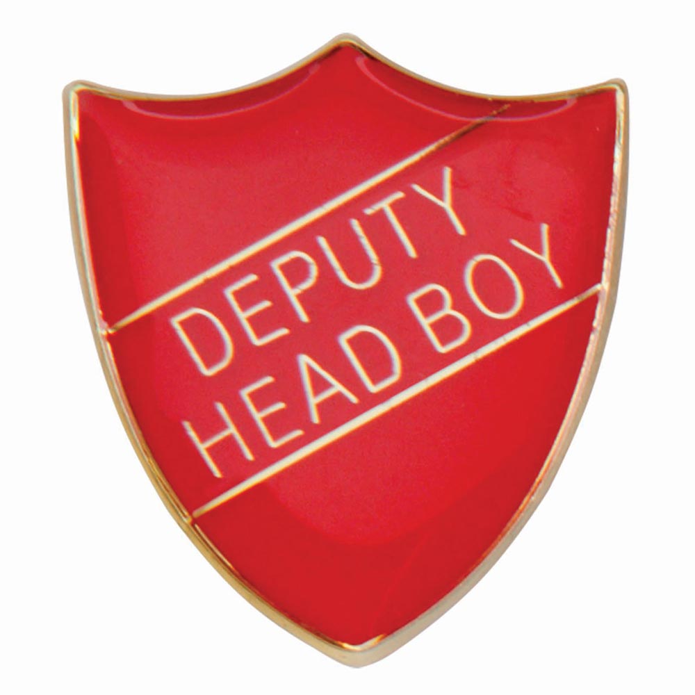 Premium enamel school shield badge with butterfly clutch fastening for student leadership and recognition awards.