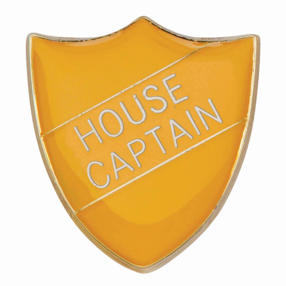 Premium enamel school shield badge with butterfly clutch fastening for student leadership and recognition awards.