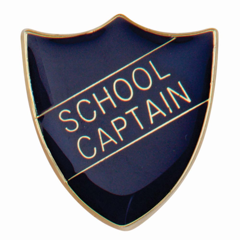 Premium enamel school shield badge with butterfly clutch fastening for student leadership and recognition awards.