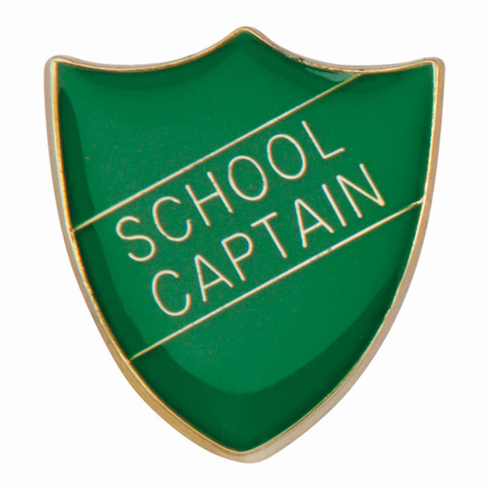 Premium enamel school shield badge with butterfly clutch fastening for student leadership and recognition awards.