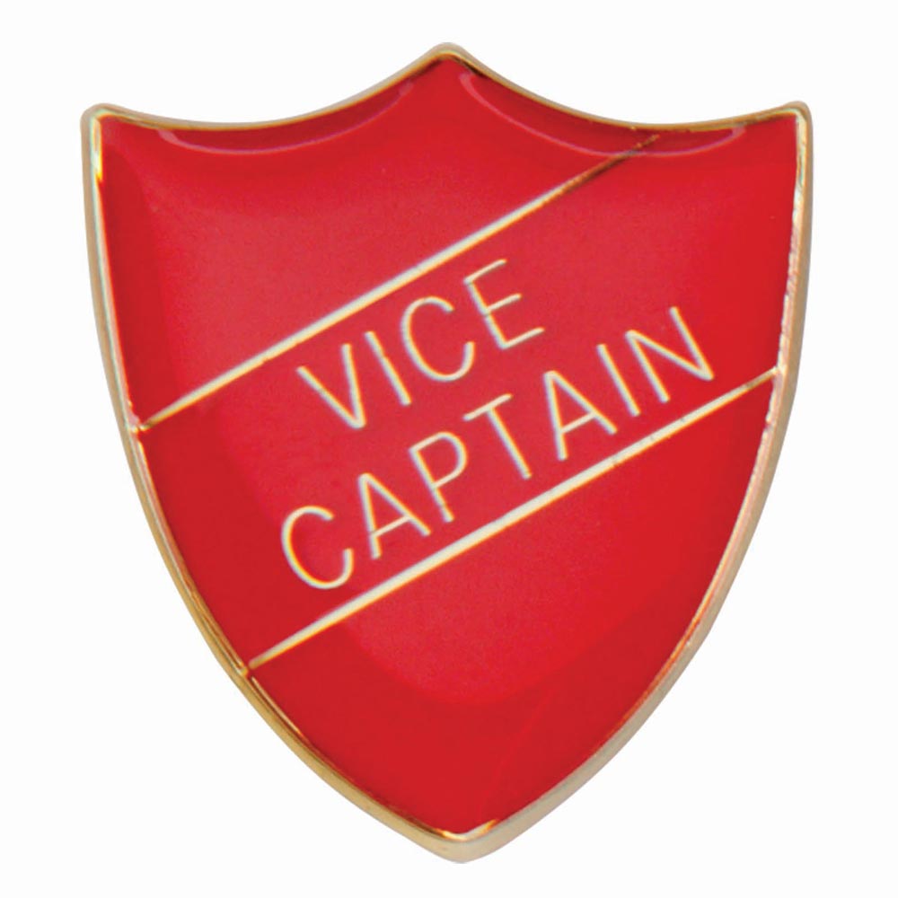 Premium enamel school shield badge with butterfly clutch fastening for student leadership and recognition awards.