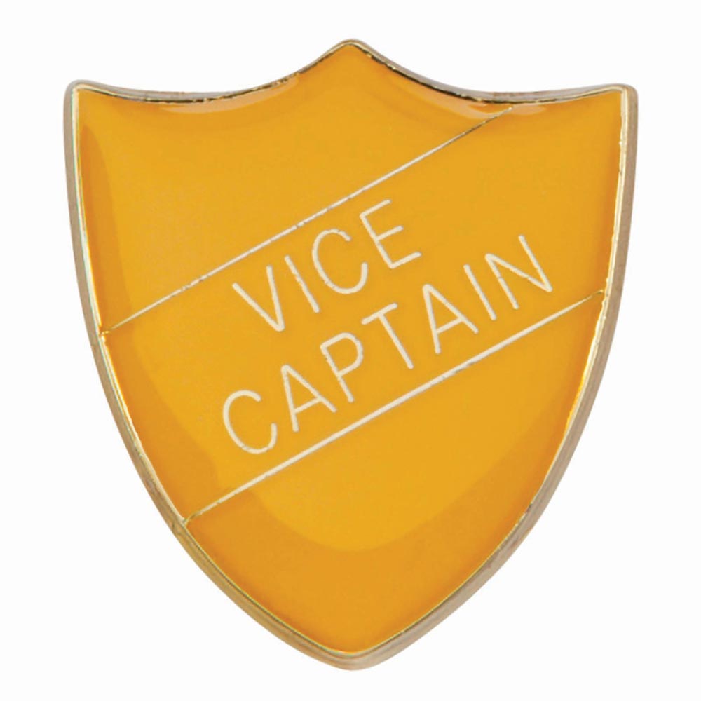 Premium enamel school shield badge with butterfly clutch fastening for student leadership and recognition awards.