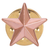 3D bronze star school achievement badge with polished metal finish and butterfly clutch fastening.