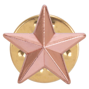 3D bronze star school achievement badge with polished metal finish and butterfly clutch fastening.