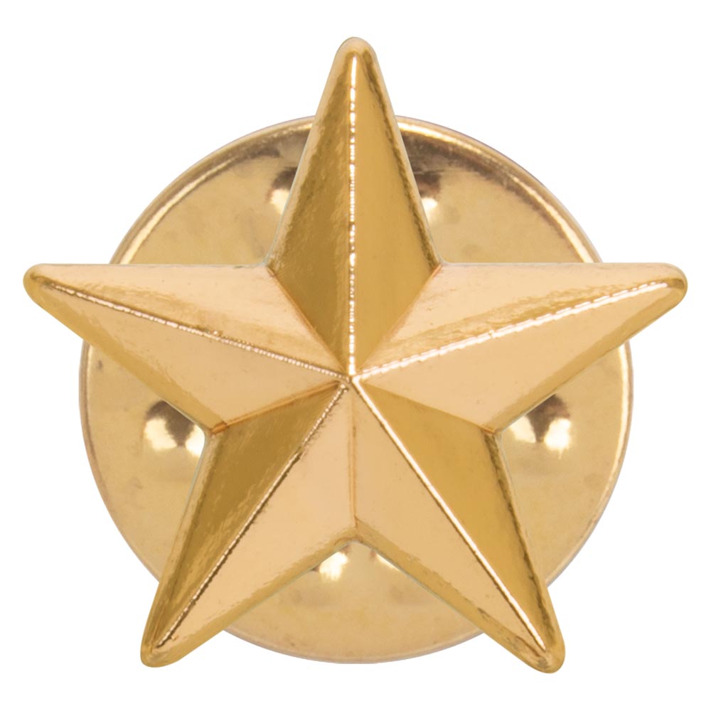 3D gold star school achievement badge with polished metal finish and butterfly clutch fastening.
