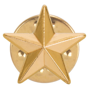 3D gold star school achievement badge with polished metal finish and butterfly clutch fastening.