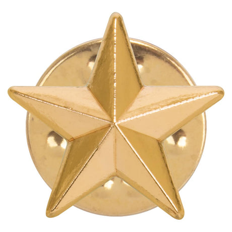 3D gold star school achievement badge with polished metal finish and butterfly clutch fastening.