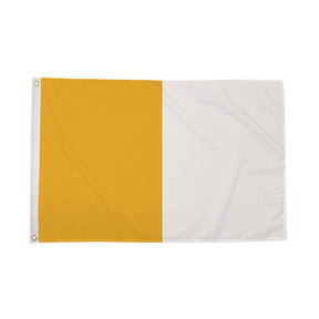 Flagmania Saffron and White Irish County 5ft x 3ft Polyester Flag