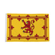 Flagmania Scotland Lion 3ft x 2ft Polyester Flag on white background