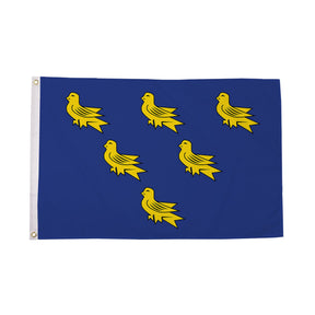 Flagmania Sussex 8ft x 5ft polyester flag