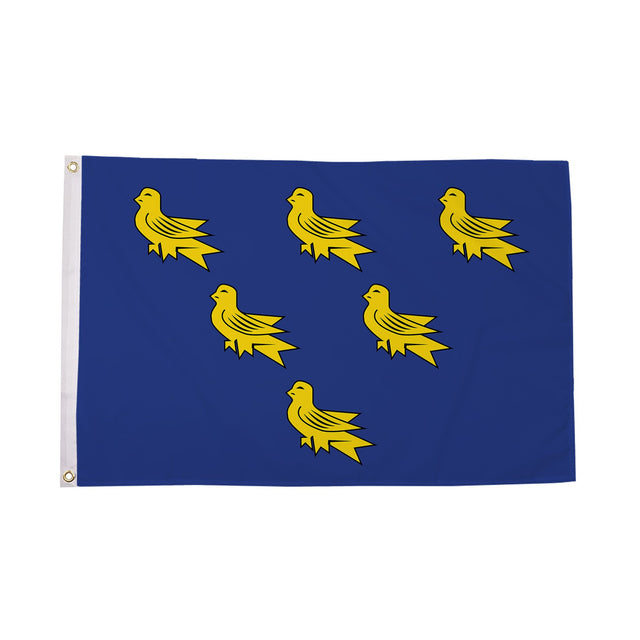 Flagmania Sussex 8ft x 5ft polyester flag