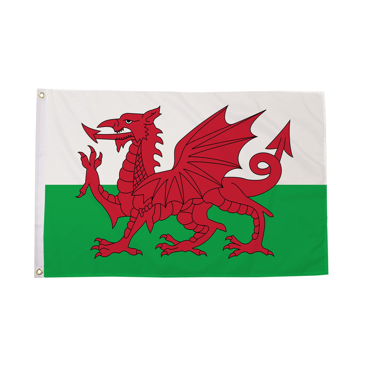Flagmania Wales 3ft x 2ft Polyester Flag on white background