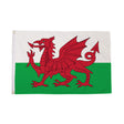 Flagmania Wales 5ft x 3ft Polyester Flag