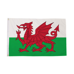Flagmania Wales 5ft x 3ft Polyester Flag