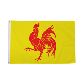 Flagmania Walloon 5ft x 3ft Polyester Flag