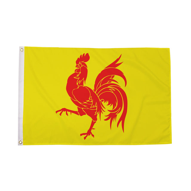 Flagmania Walloon 5ft x 3ft Polyester Flag