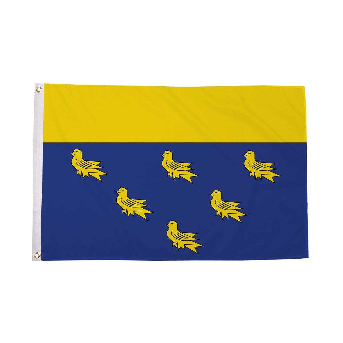 Flagmania West Sussex 5ft x 3ft Polyester Flag