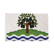 Flagmania Worcestershire (New) 5ft x 3ft Polyester Flag