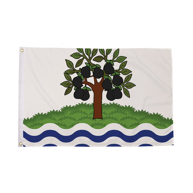 Flagmania Worcestershire (New) 5ft x 3ft Polyester Flag